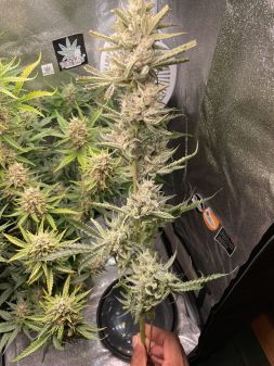 Review photo #3