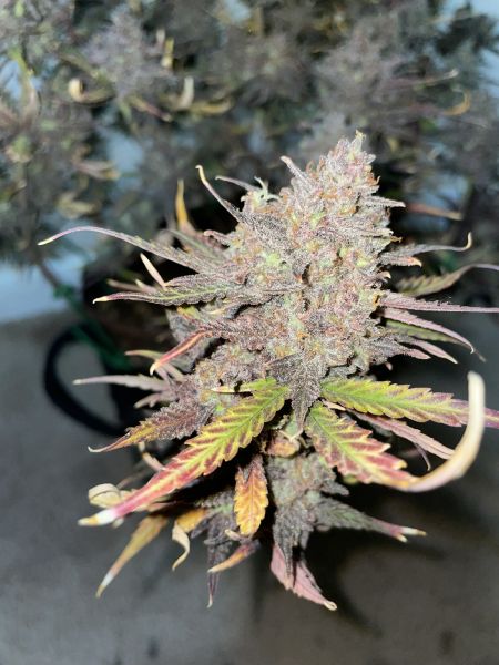 Review photo #5