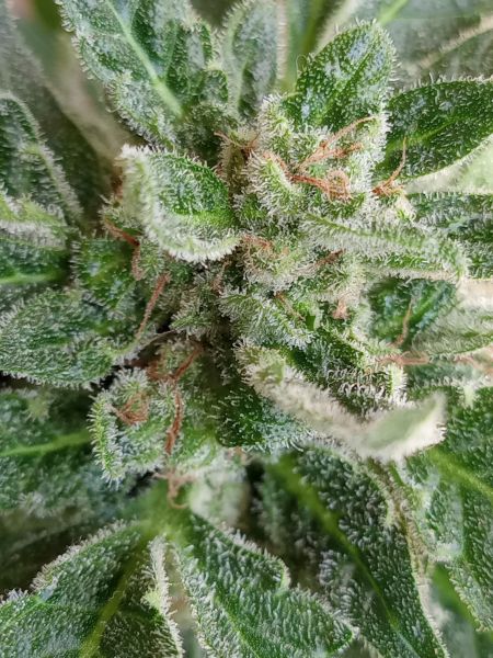 Review photo #3