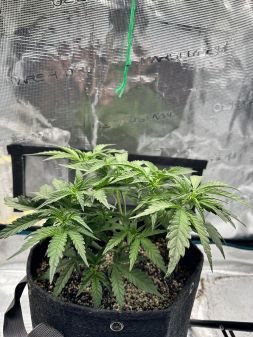 Review photo #6