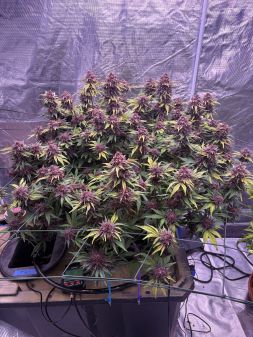 Review photo #5