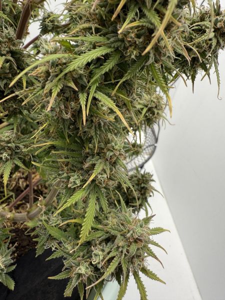 Review photo #9