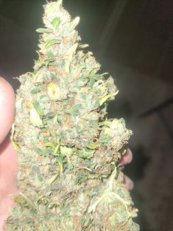 Review photo #6