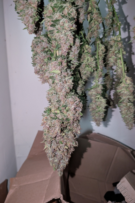 Review photo #3