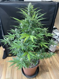 Review photo #4