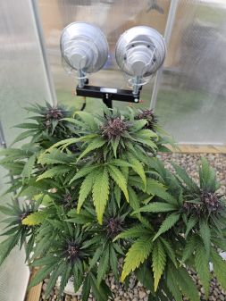 Review photo #1