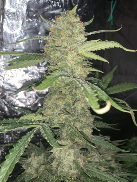 Review photo #4