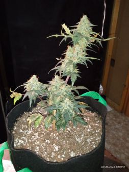 Review photo #6