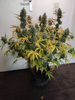 Review photo #4