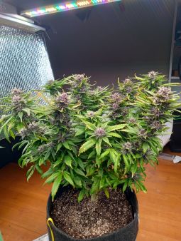 Review photo #1