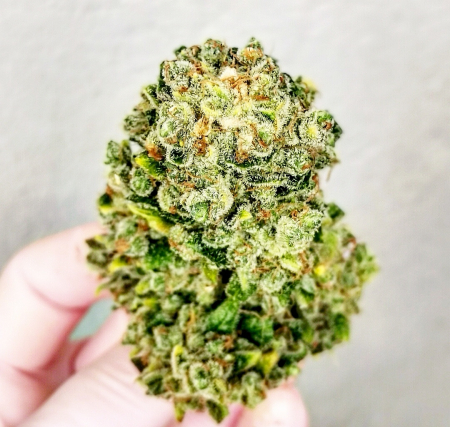 Review photo #5