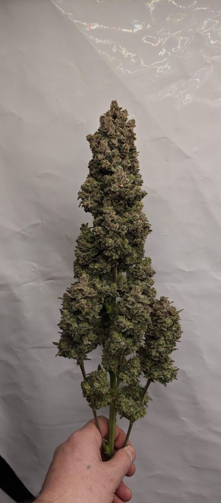 Review photo #4