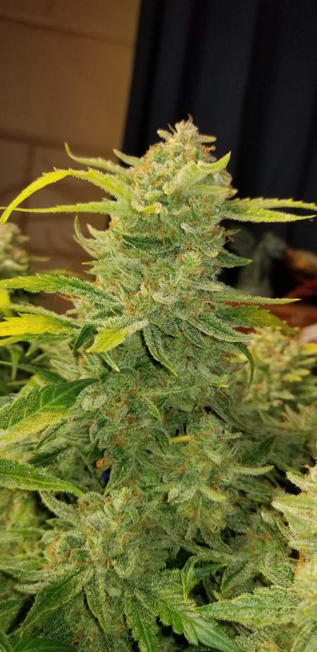Review photo #1