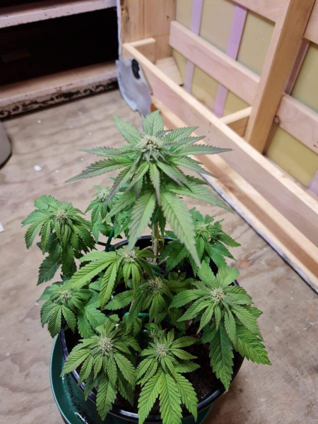 Review photo #2