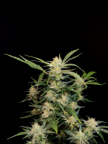 Review photo #3