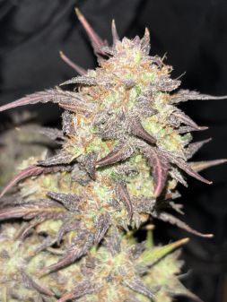Review photo #3