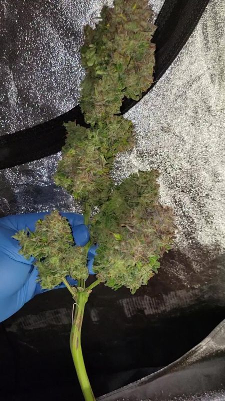 Review photo #11