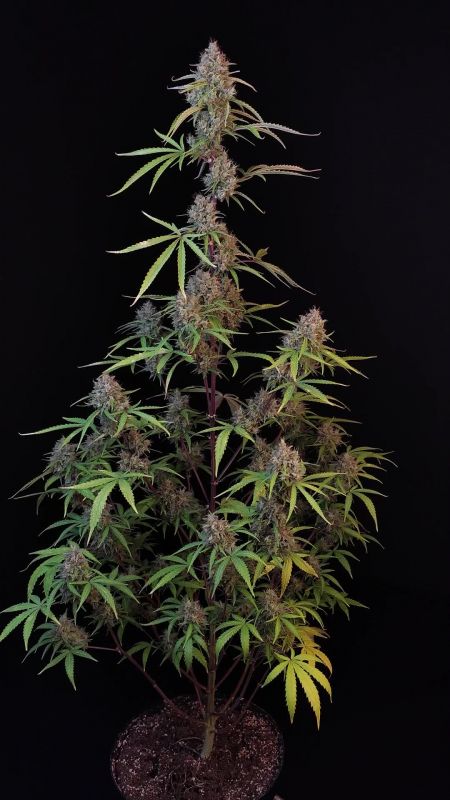 Review photo #2