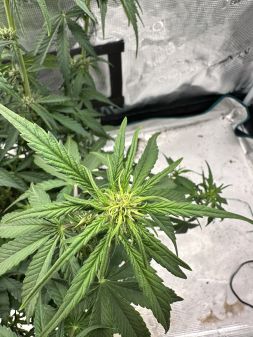 Review photo #13