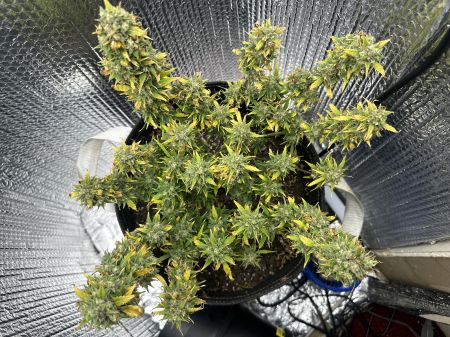 Review photo #4