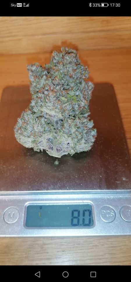 Review photo #1