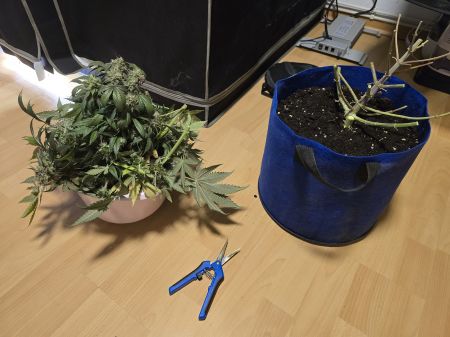 Review photo #4