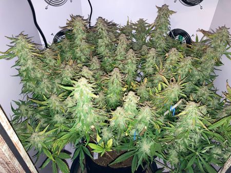 Review photo #5