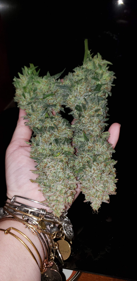 Review photo #2