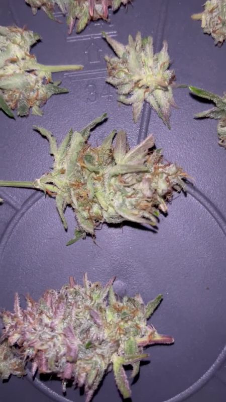 Review photo #3