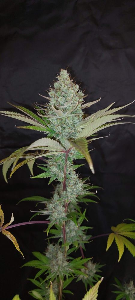 Review photo #3
