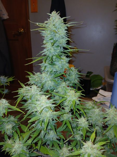 Review photo #3