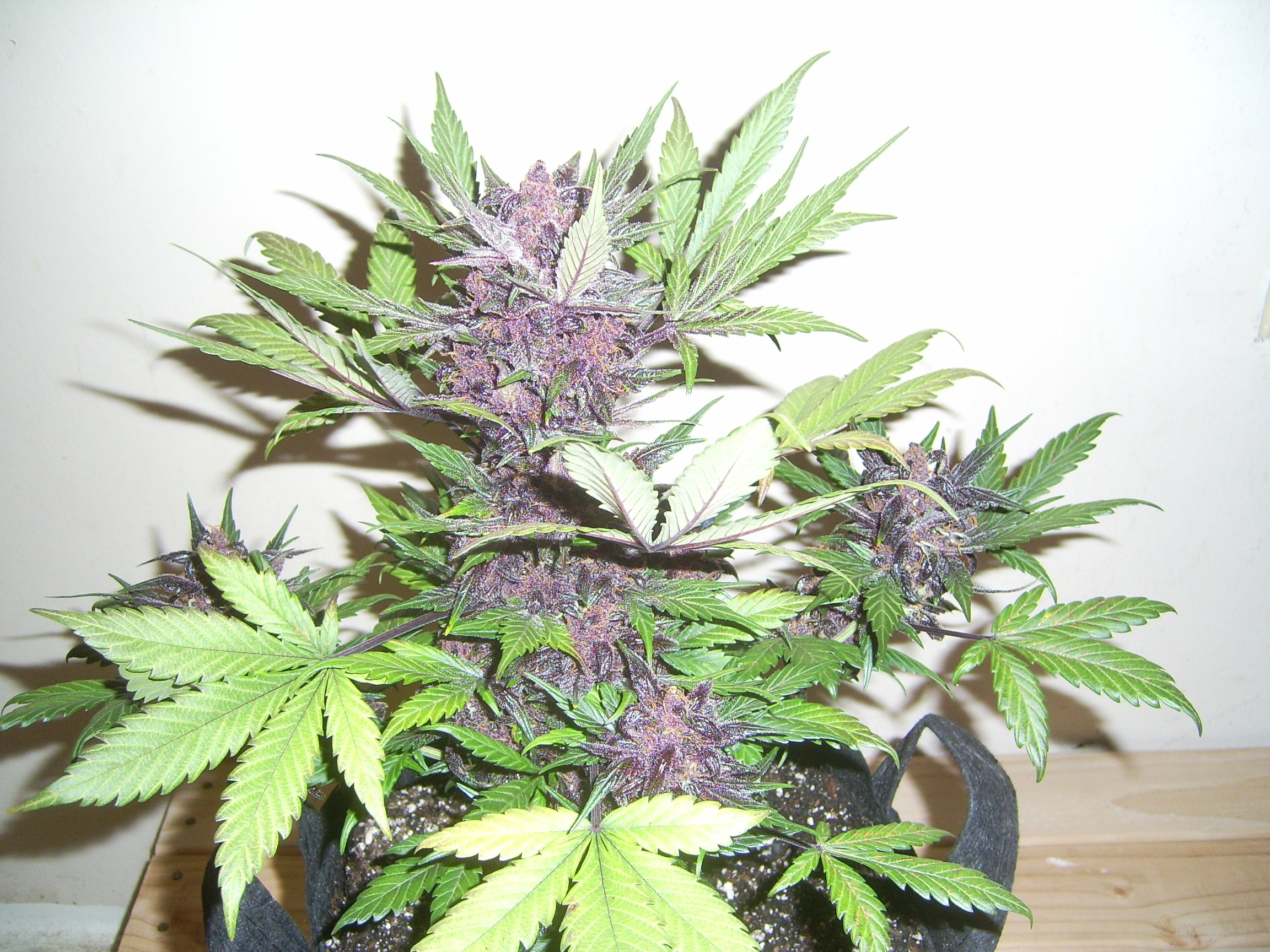 Review photo #1
