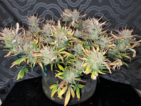 Review photo #1