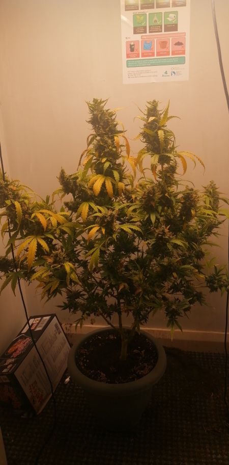 Review photo #3