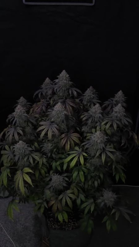 Review photo #2