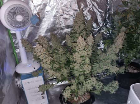 Review photo #5