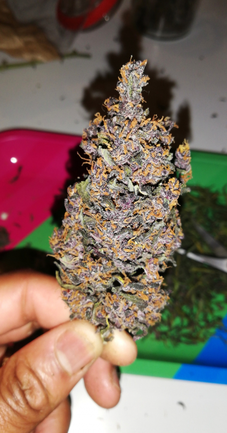 Review photo #3