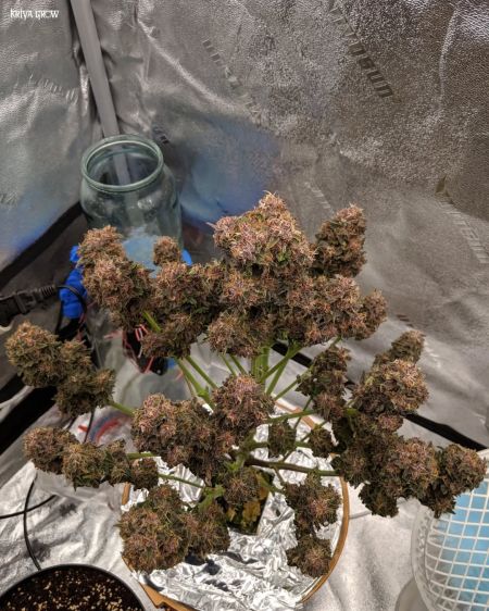 Review photo #5