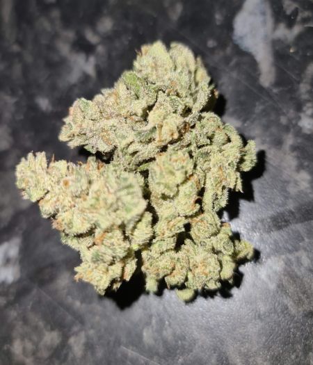 Review photo #1