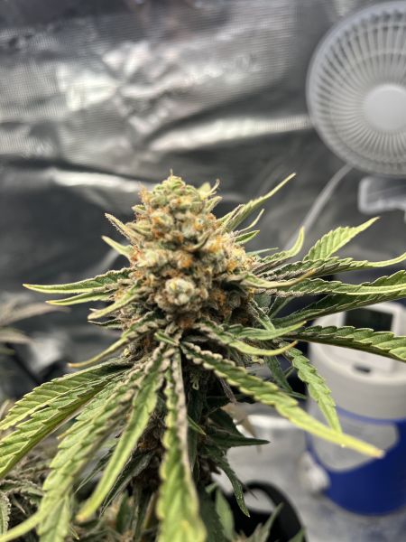 Review photo #2
