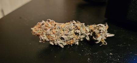 Review photo #2