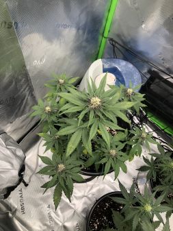 Review photo #2