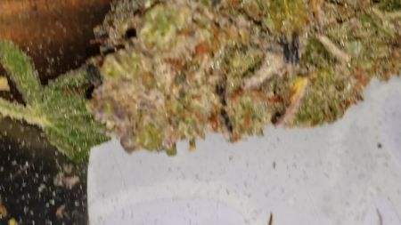 Review photo #5