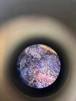 Review photo #6