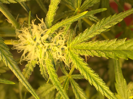 Review photo #1