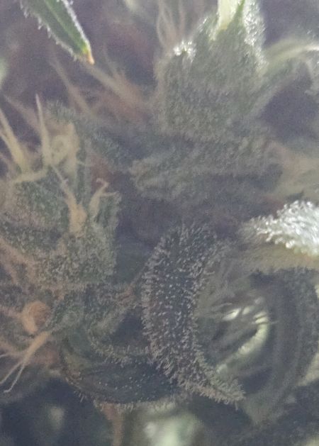 Review photo #5