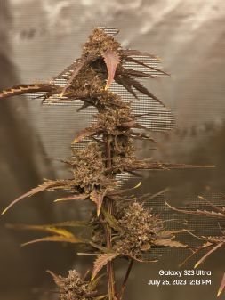 Review photo #5