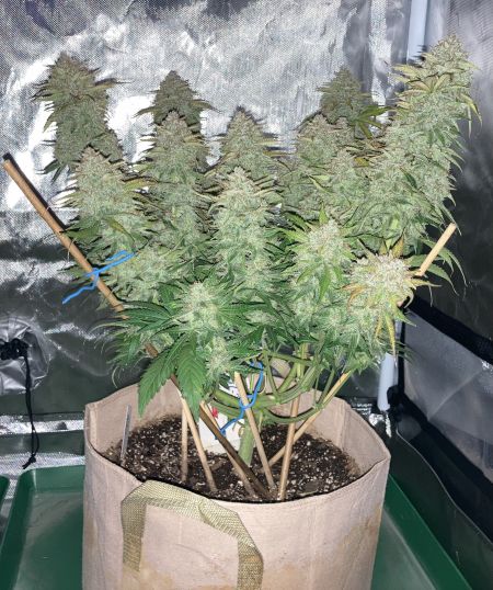 Review photo #6