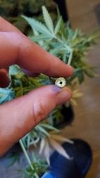 Review photo #3