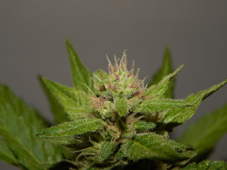 Review photo #4